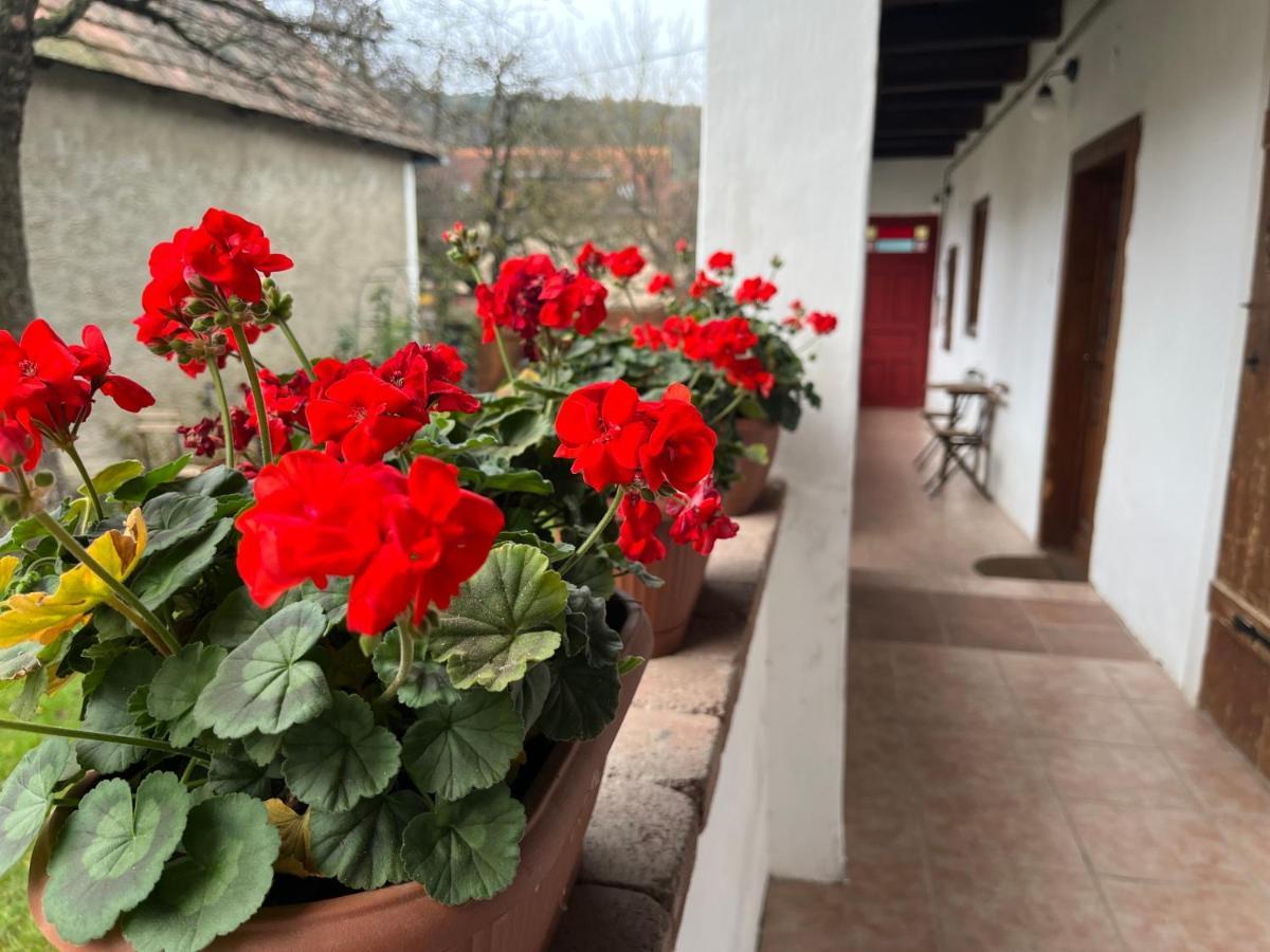 Padláskincsek Muskátlis Vendégház Nagyborzsony Exterior foto